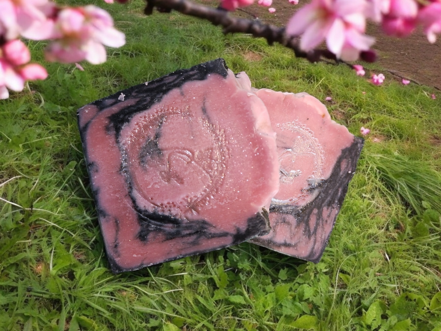 Charcoal and Cherry Blossom